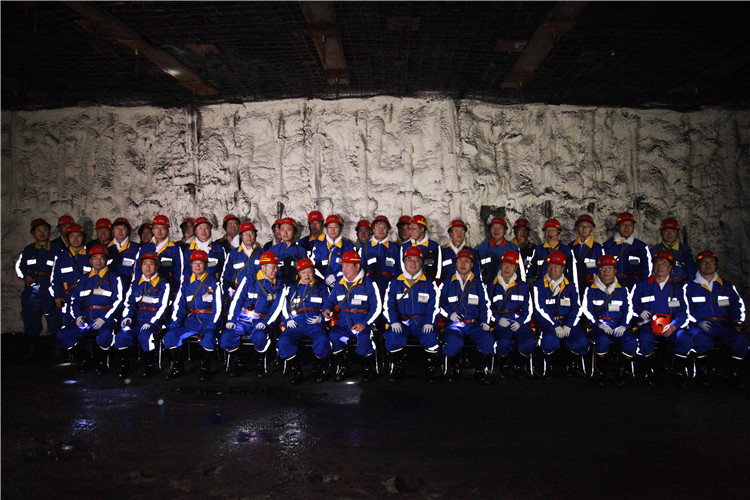 創(chuàng)新聯(lián)盟專家團(tuán)隊(duì)在陜煤（右起左四為何滿潮院士、宋振騏院士、張鐵崗院士、煤炭工業(yè)協(xié)會(huì)副理事長(zhǎng)劉峰